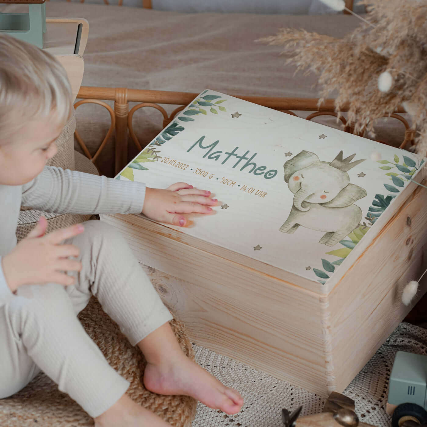 Erinnerungsbox Baby - Jungle Elefant