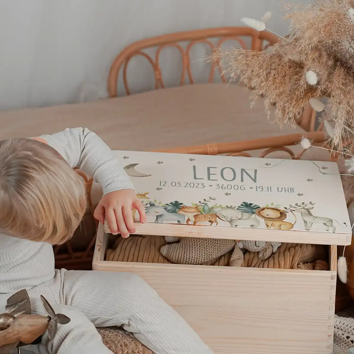 Erinnerungsbox Baby - Jungle Tiere