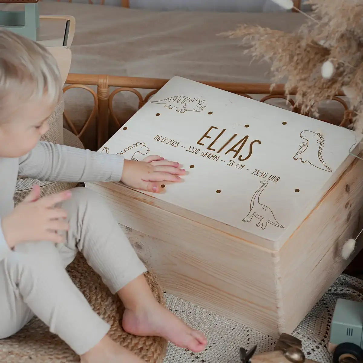 Personalisierte Erinnerungskiste - Dino Familie