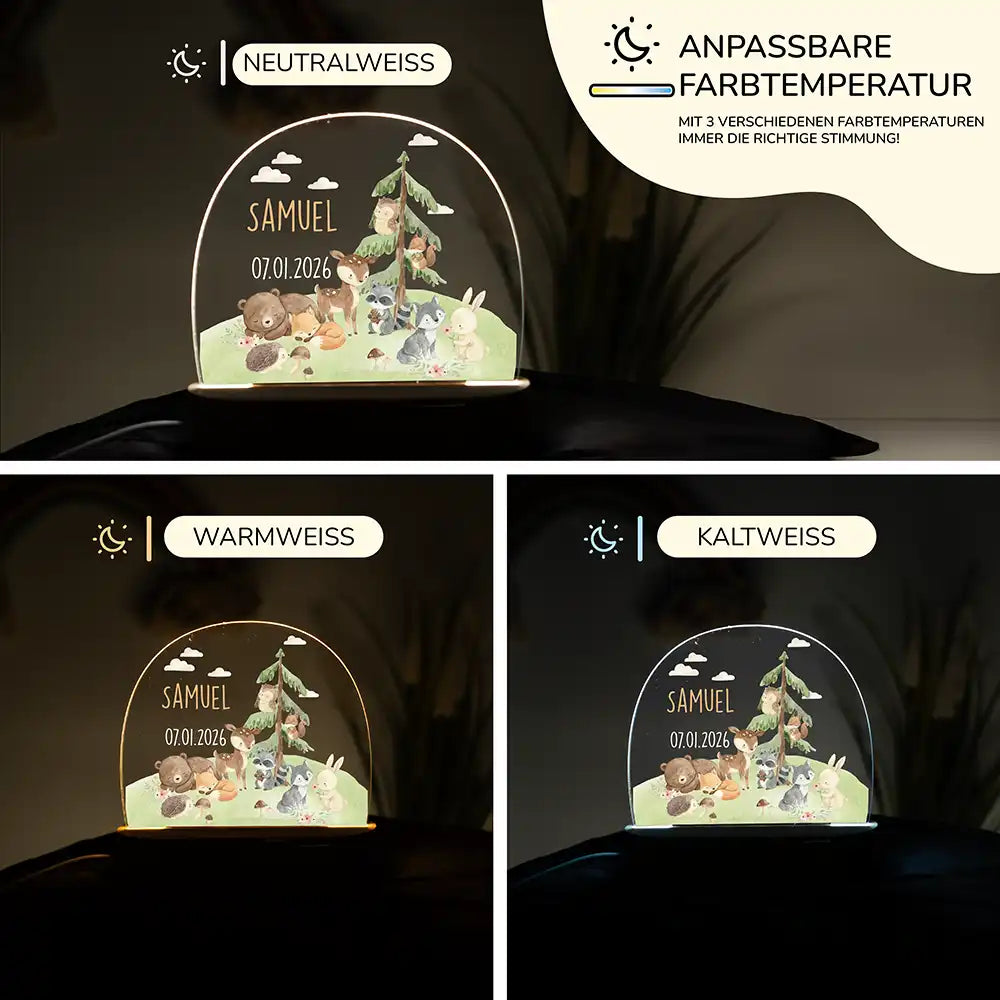Nachtlicht Kinder personalisiert - Kleine Waldwunder